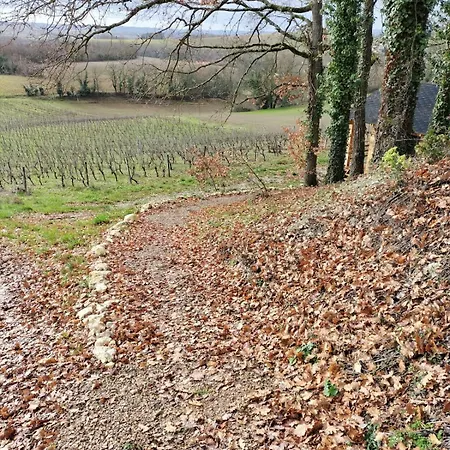 Les Lodges D'Adelaide Cahuzac-sur-Vère Exterior foto