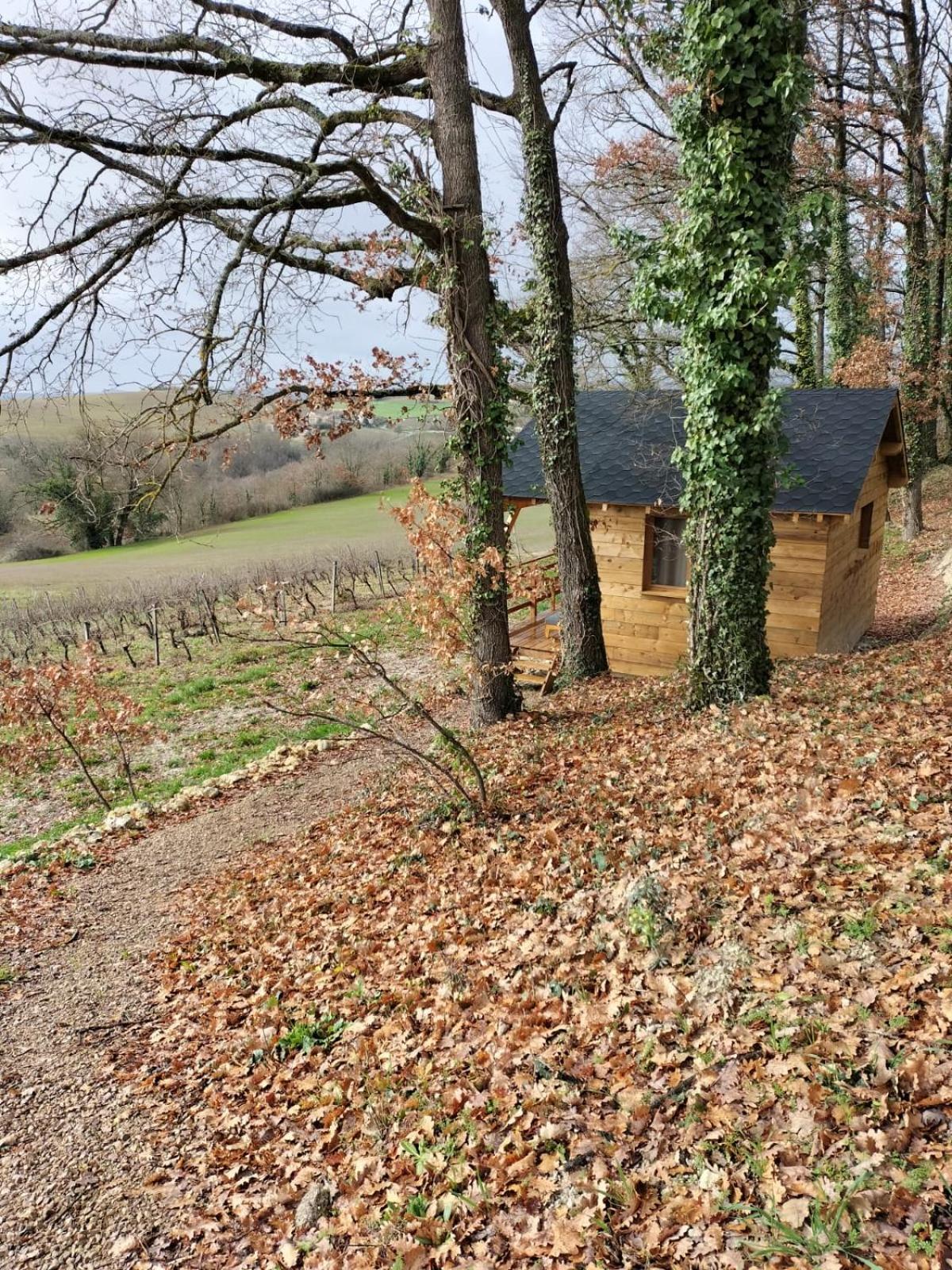 Lodge Les D'adelaide